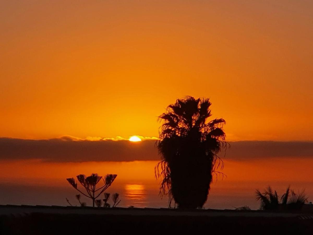 Vina Del Mar Daire Playa de las Américas Dış mekan fotoğraf