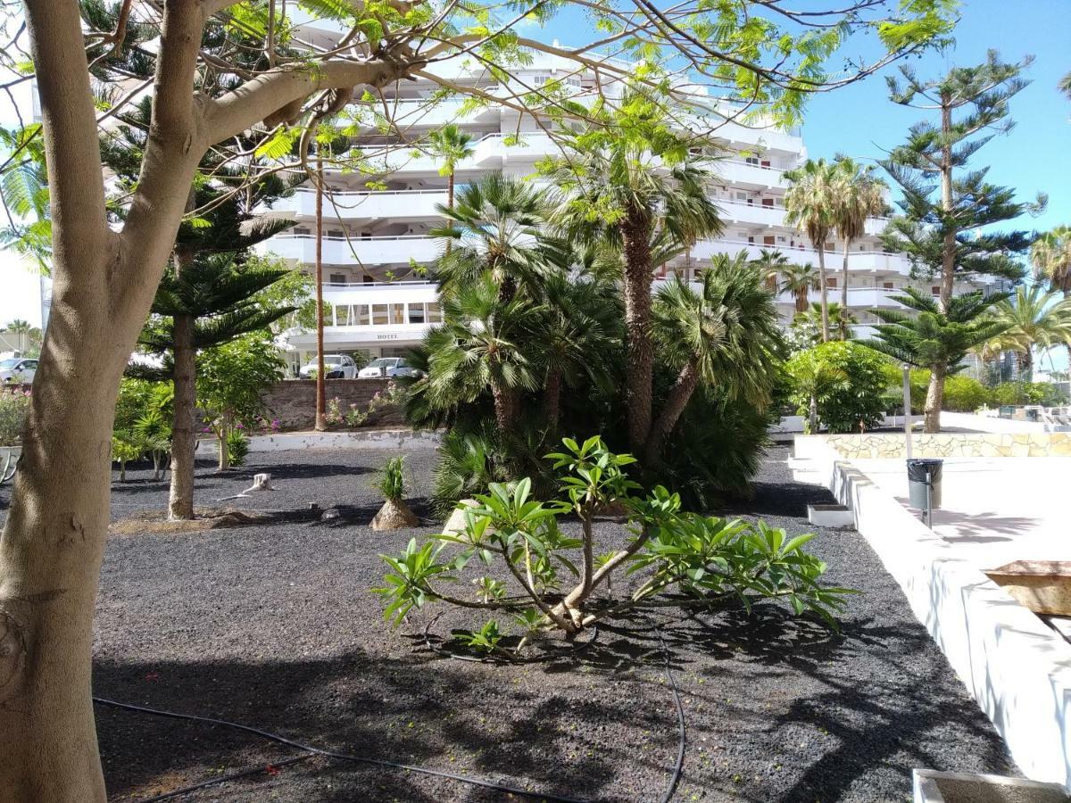 Vina Del Mar Daire Playa de las Américas Dış mekan fotoğraf